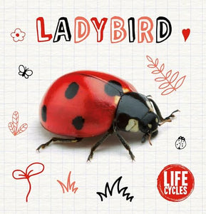 Ladybird 