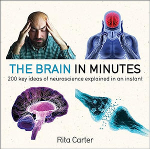 The Brain in Minutes 