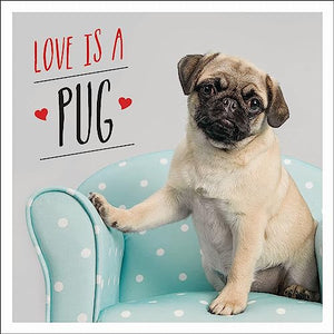 Love is a Pug 