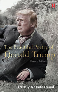 The Beautiful Poetry of Donald Trump 