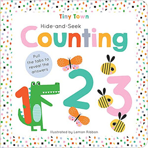 Hide-and-Seek Counting 