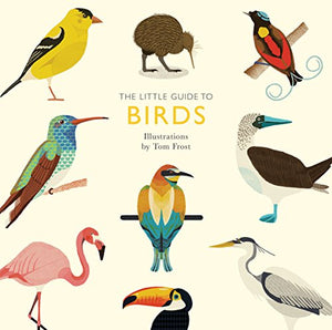 The Little Guide to Birds 