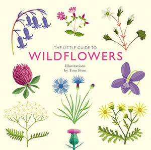 The Little Guide to Wildflowers 