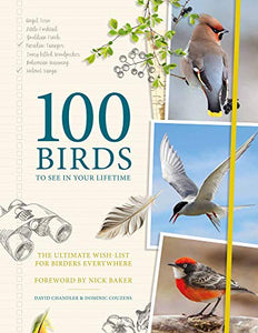 100 Birds to See in Your Lifetime 