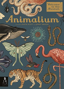 Animalium 