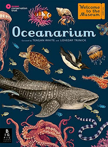 Oceanarium 