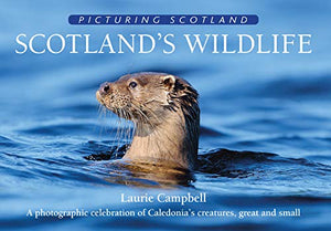 Scotland's Wildlife: Picturing Scotland 