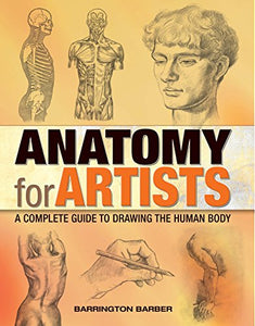 Anatomy for Artists 