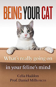 Being Your Cat 