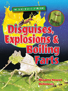 Disguises, Explosions and Boiling Farts 