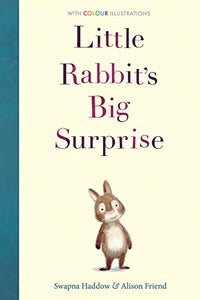 Little Rabbit's Big Surprise 