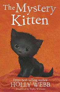 The Mystery Kitten 