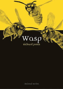 Wasp 