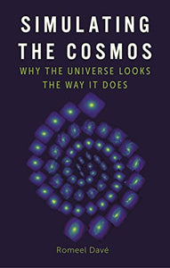 Simulating the Cosmos 