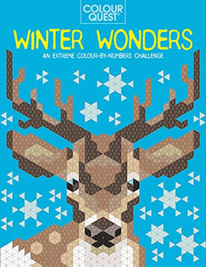 Colour Quest®: Winter Wonders 