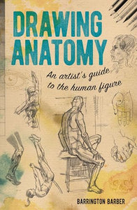 Drawing Anatomy 