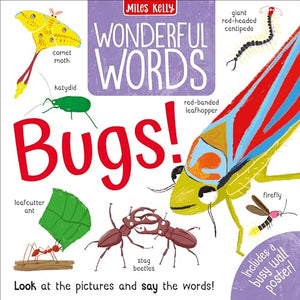 Wonderful Words: Bugs! 