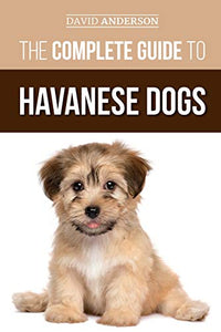 The Complete Guide to Havanese Dogs 