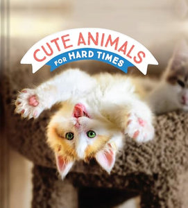 Cute Animals for Hard Times 