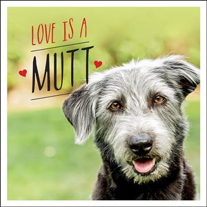 Love is a Mutt 