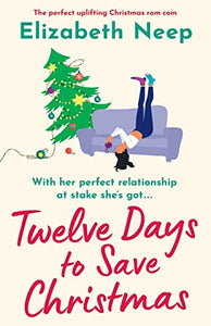 Twelve Days to Save Christmas 