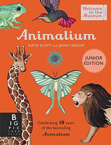 Animalium (Junior Edition) 