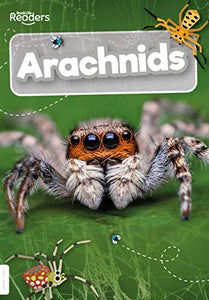 Arachnids 