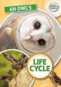 An Owl's Life Cycle 