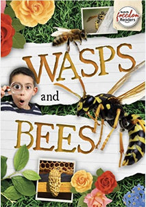 Wasps and Bees 