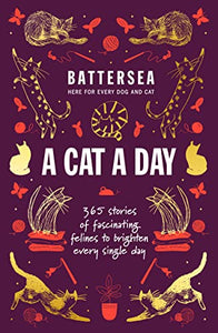 Battersea Dogs and Cats Home - A Cat a Day 