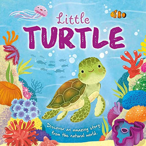 Nature Stories: Little Turtle-Discover an Amazing Story from the Natural World 