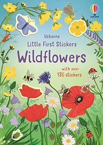 Little First Stickers Wildflowers 