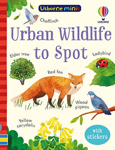 Urban Wildlife to Spot 