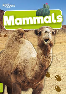 Mammals 