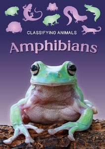 Amphibians 