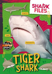 Tiger Shark 