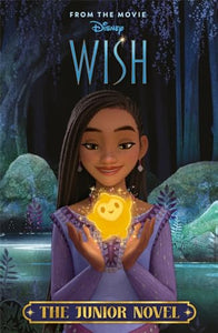 Disney Wish: The Junior Novel 