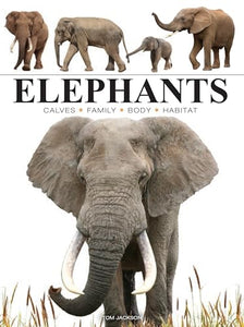 Elephants 