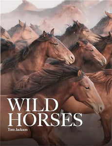 Wild Horses 