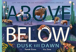 Above and Below: Dusk till Dawn 