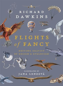 Flights of Fancy 