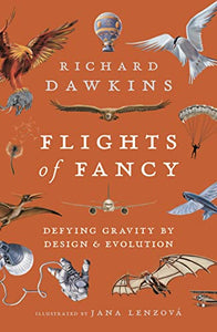 Flights of Fancy 