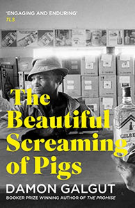 The Beautiful Screaming of Pigs 