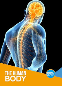 The Human Body 