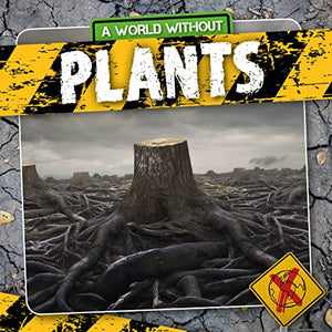 Plants 