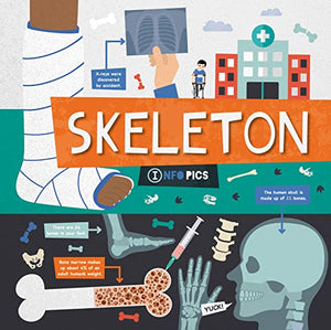 Skeleton 