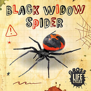 Black Widow Spider 