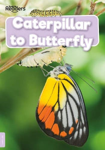 Caterpillar to Butterfly 