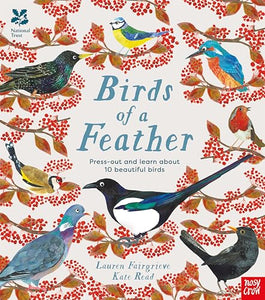 National Trust: Birds of a Feather: Press out and learn about 10 beautiful birds 