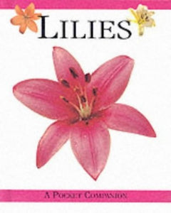 Lilies 